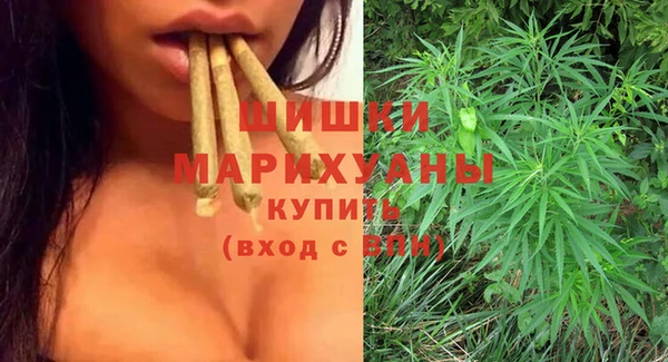 дмт Алзамай