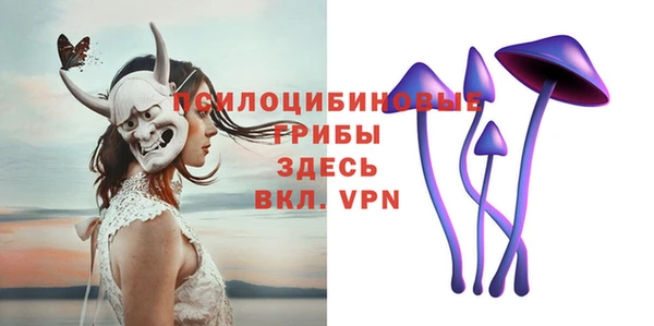 прущий лед Алексин