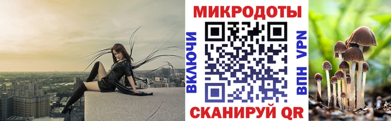 Псилоцибиновые грибы прущие грибы  Славск 