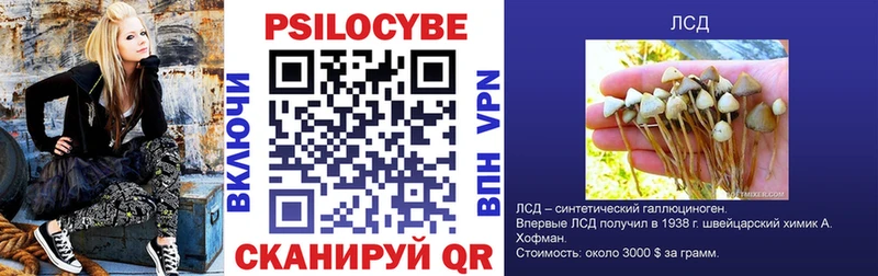 Галлюциногенные грибы MAGIC MUSHROOMS Славск